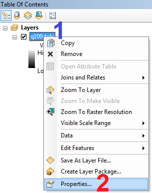 ArcGIS Layer Properties