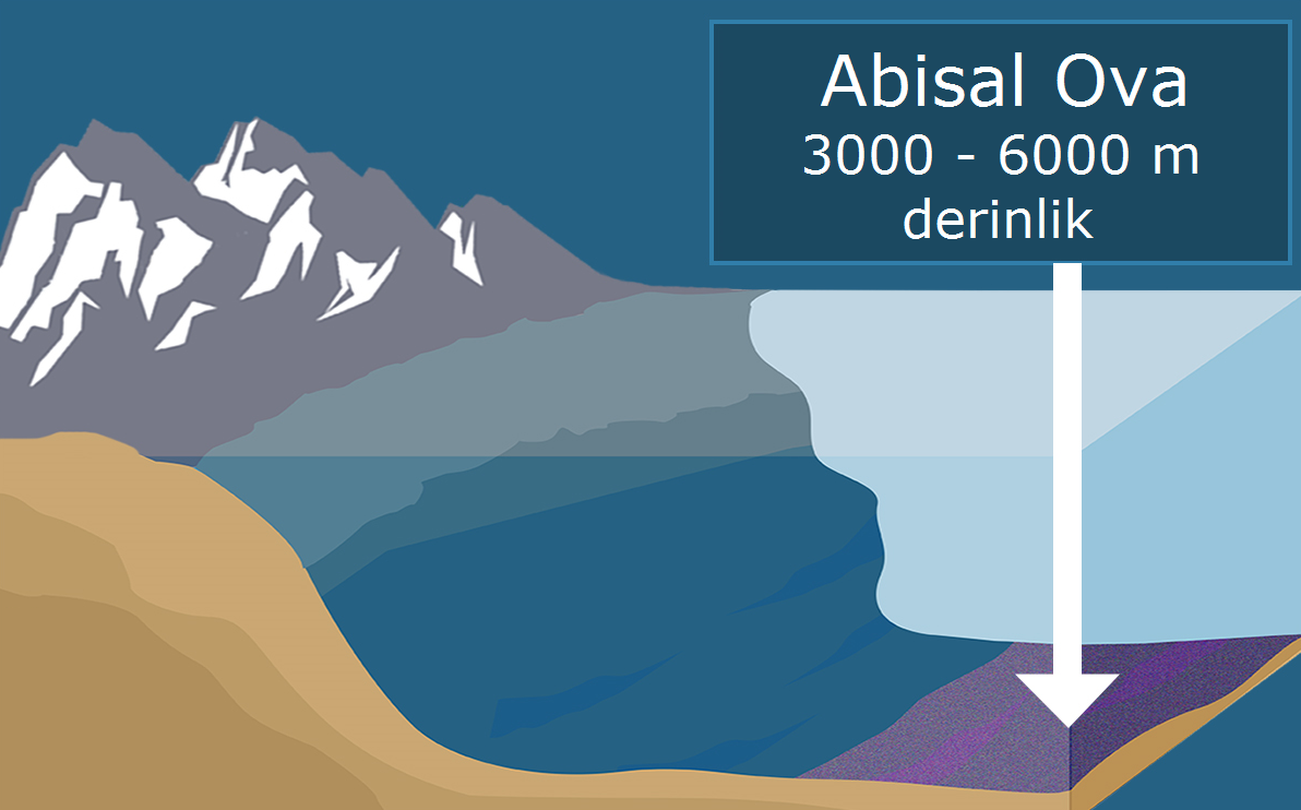 Abisal Ova