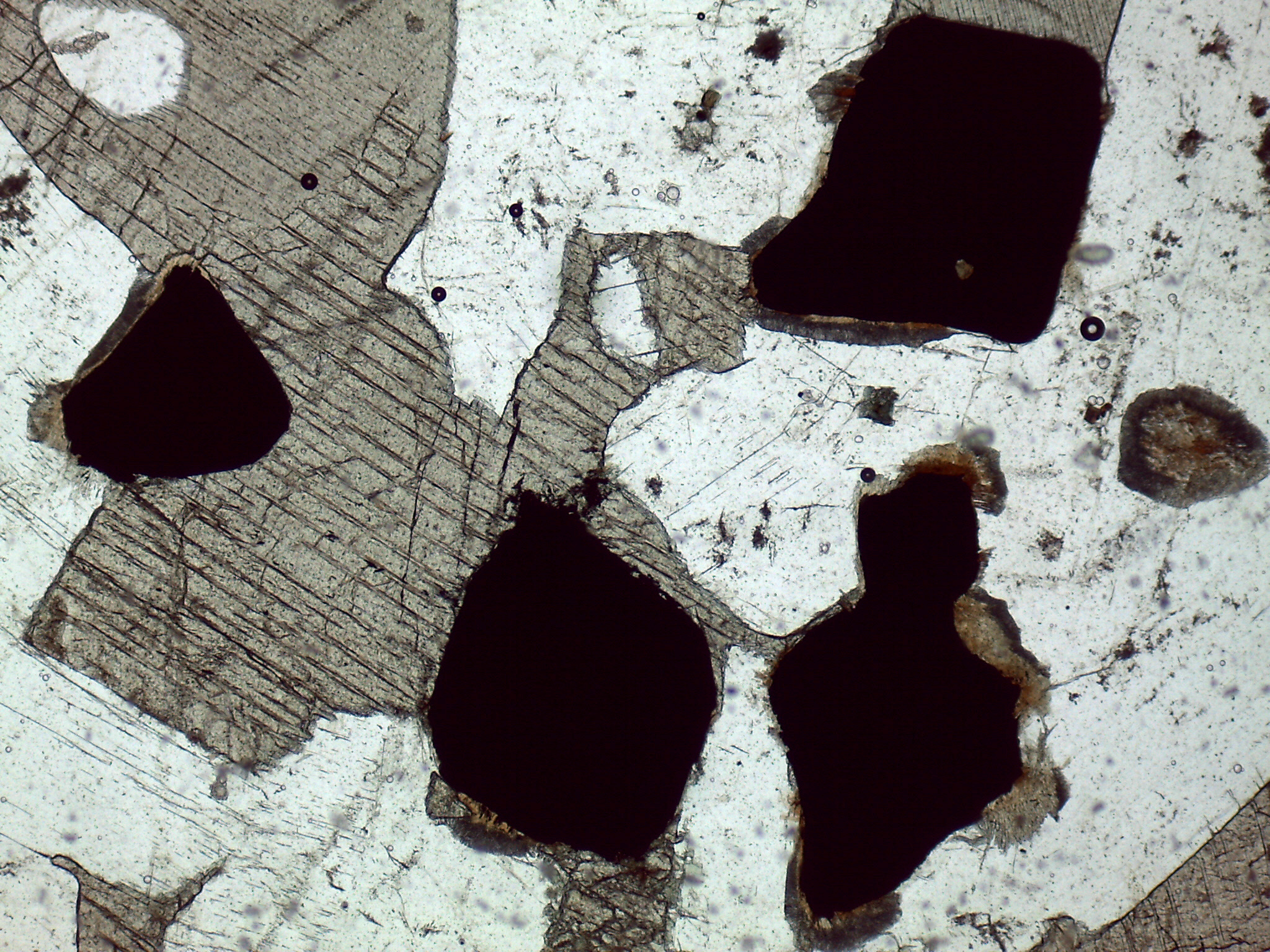 mineral