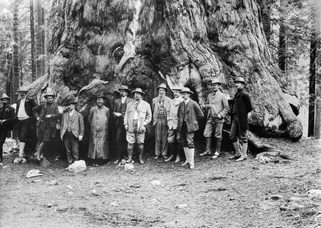 Roosevelt, Muir ve Park Görevlileri